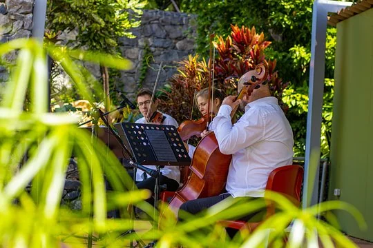 15% off Morning Garden Classics tickets