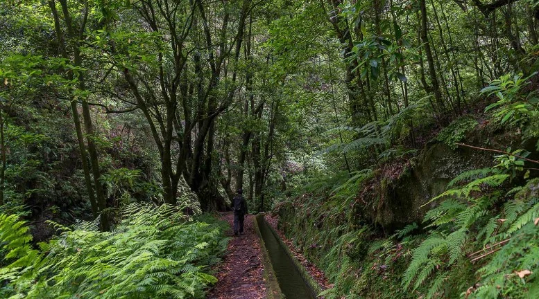 120th Community Hike, Paulo Special - PR 18
