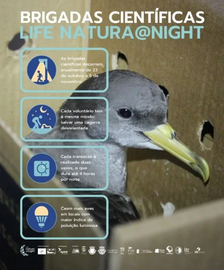 LIFE Natura@night, Save a Seabird Scientific Brigades