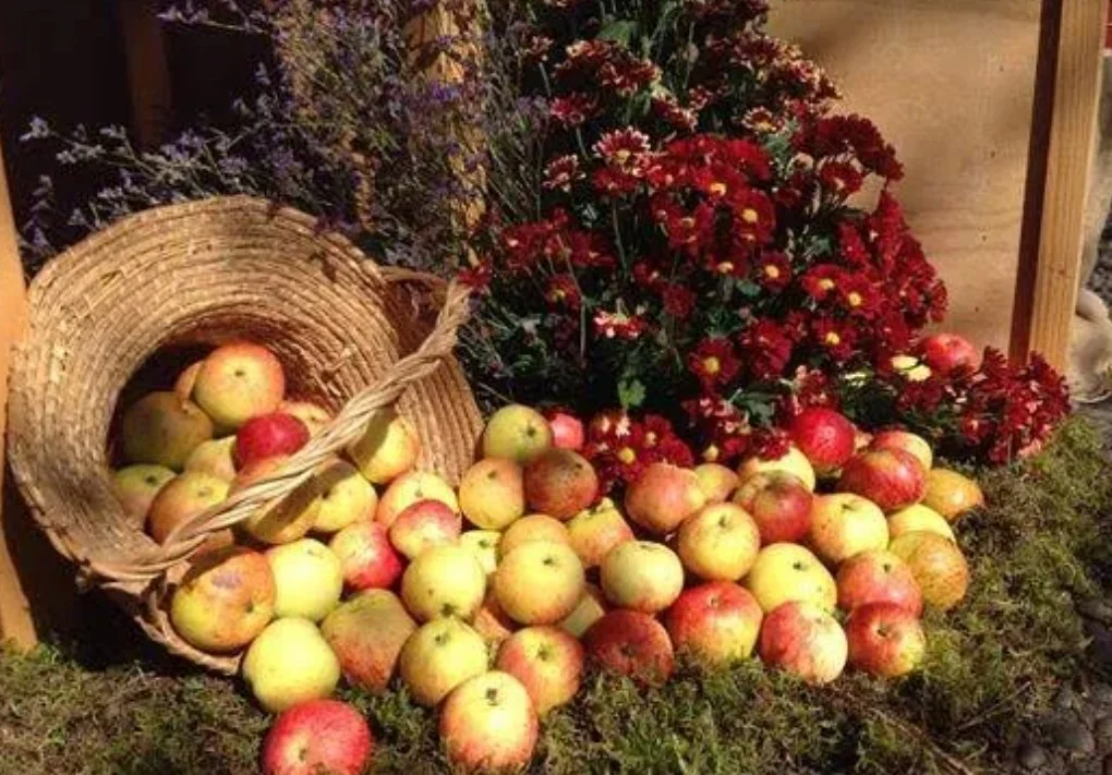 Apple Festival
