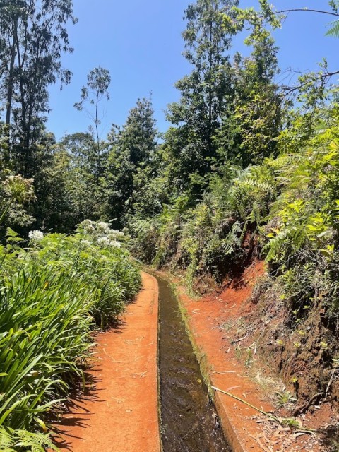 PR18: Levada do Rei