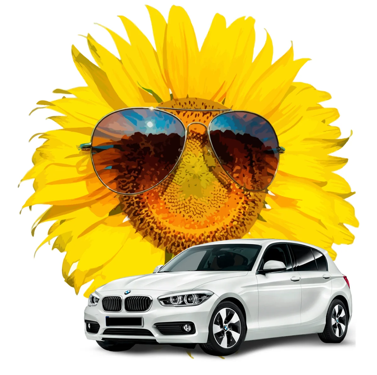 Girassol Rent a Car