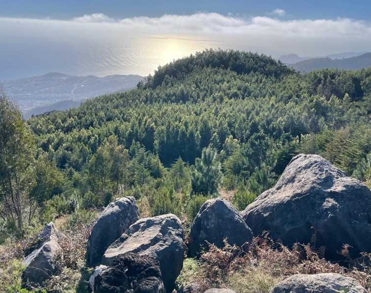 Parque Ecológico do Funchal