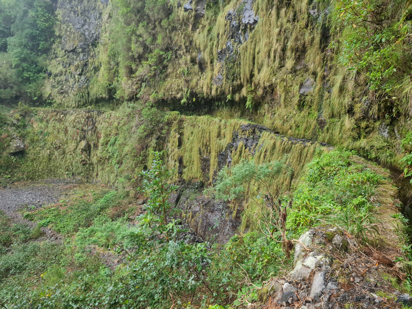 PR9: Levada do Caldeirão Verde