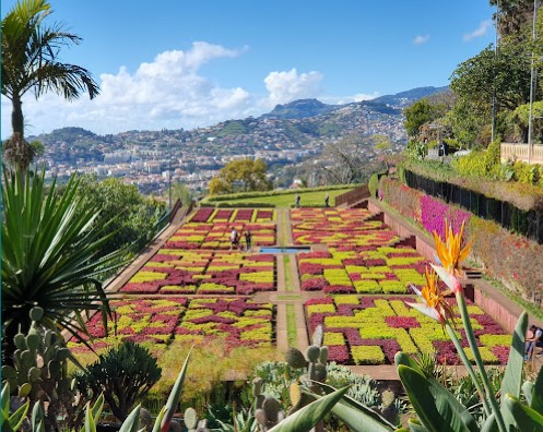 Jardim Botânico da Madeira