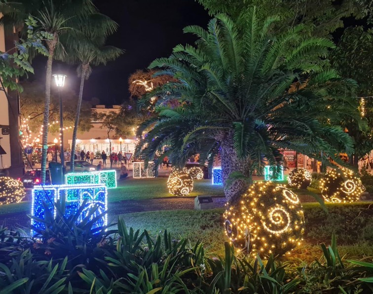 Jardim Municipal do Funchal